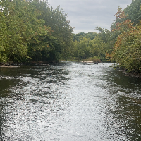 аватар rudypeart